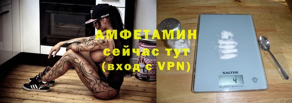 шишки Белокуриха