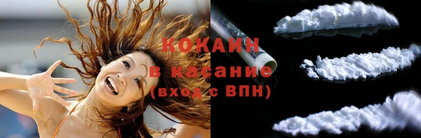 шишки Белокуриха