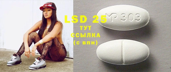 шишки Белокуриха