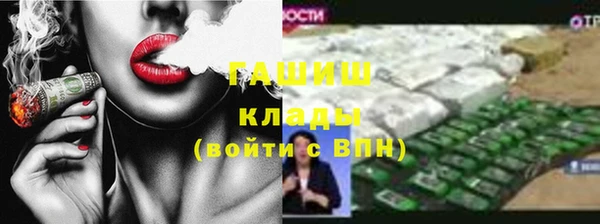 шишки Белокуриха
