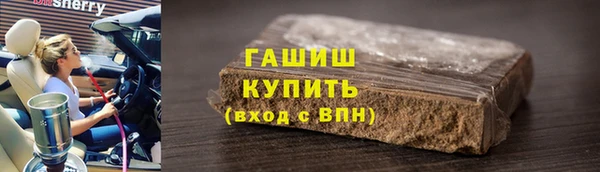 шишки Белокуриха
