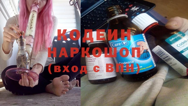 шишки Белокуриха