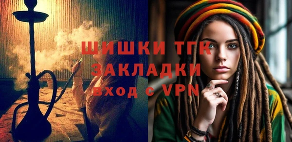 шишки Белокуриха