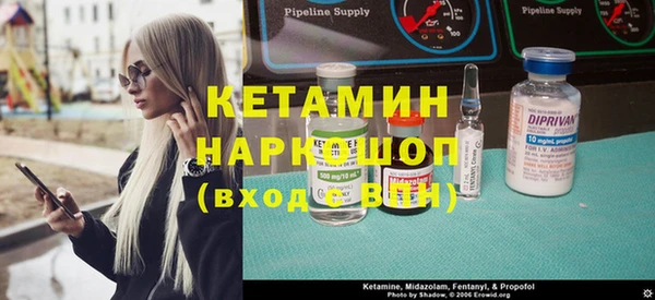 шишки Белокуриха