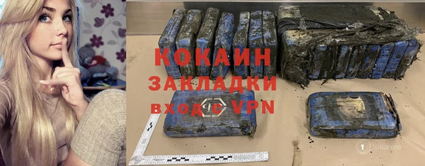 шишки Белокуриха