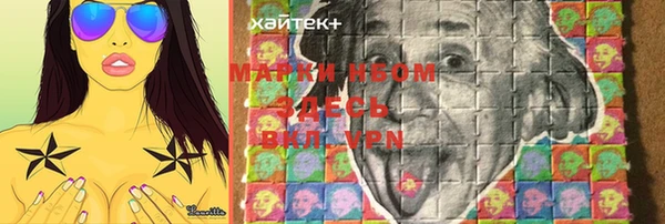 стафф Аркадак