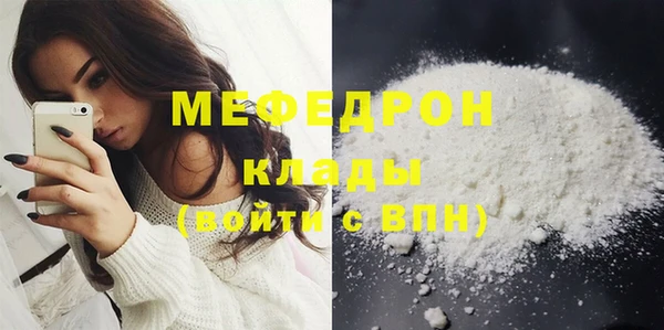 шишки Белокуриха