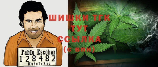 шишки Белокуриха