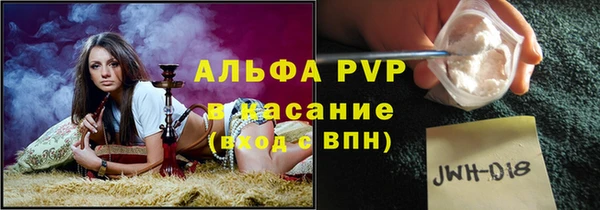 шишки Белокуриха
