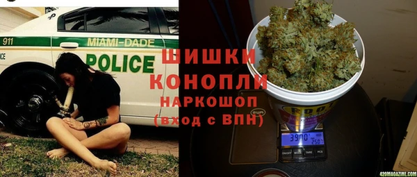 шишки Белокуриха